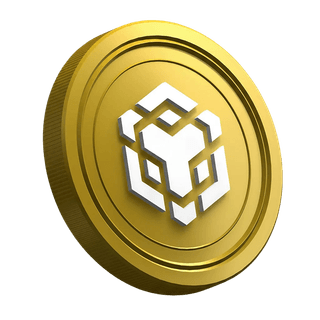 Página de la guía del trader principiante con la criptomoneda BNB